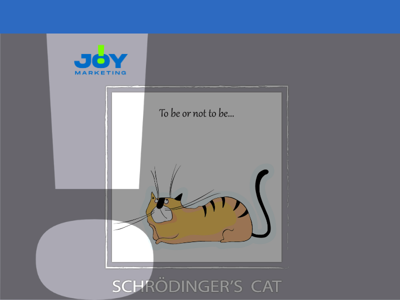 web marketing gatto schrodinger
